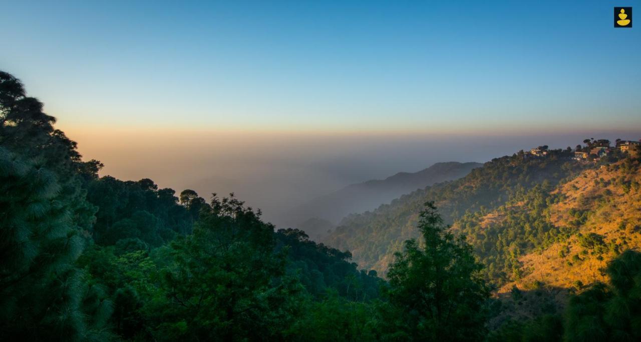 Livingstone 2Bhk Cozy Homestay In Kasauli Hills Eksteriør bilde